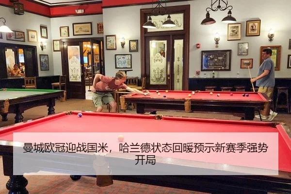 man-cheng-ou-guan-ying-zhan-guo-mi-ha-lan-de-zhuang-tai-hui-nuan-yu-shi-xin-sai-ji-qiang-shi-kai-ju-2-579.jpg
