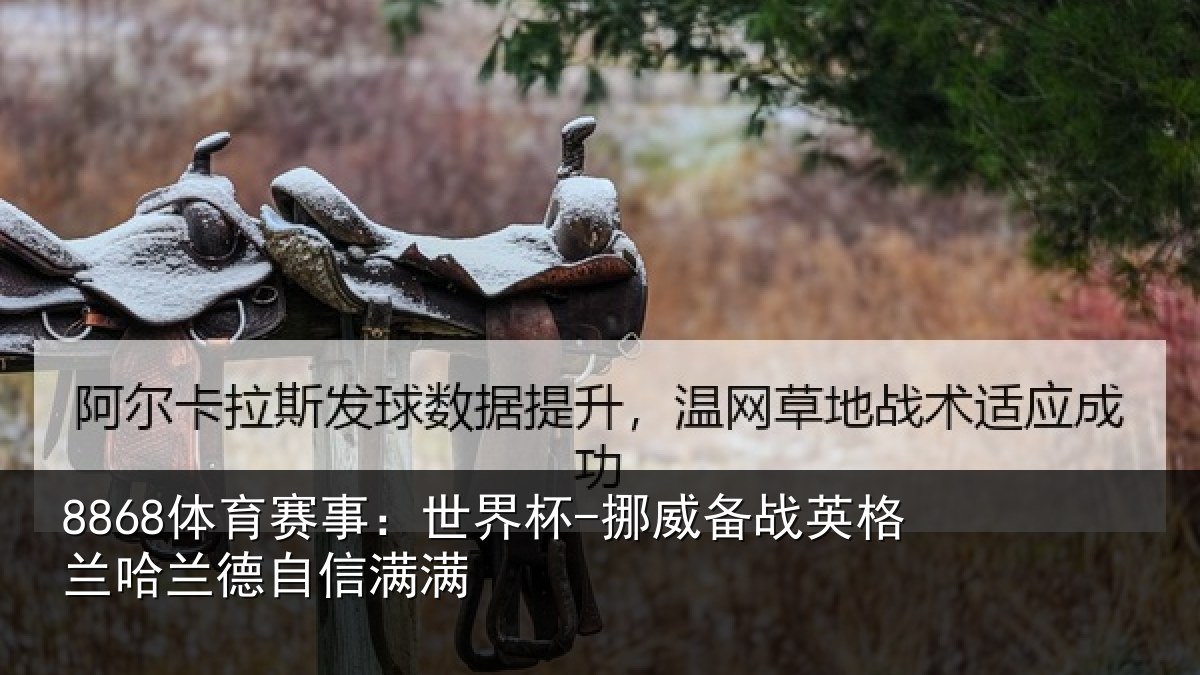 8868体育赛事:世界杯-挪威备战英格兰哈兰德自信满满