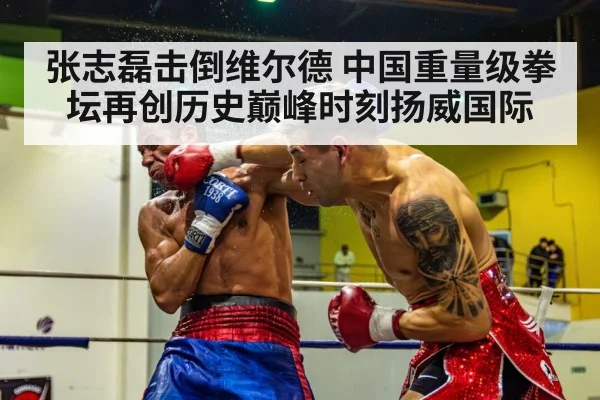 张志磊击倒维尔德 中国重量级拳坛再创历史巅峰时刻扬威国际