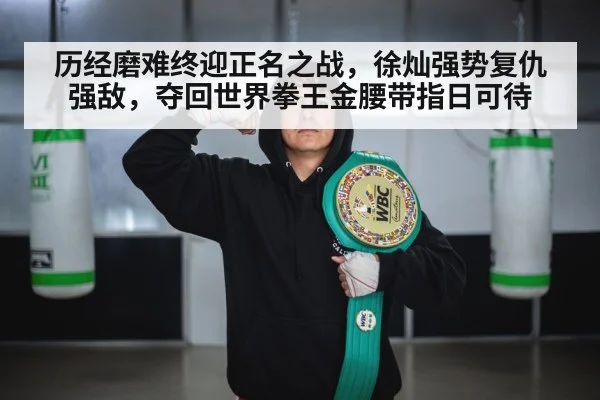 历经磨难终迎正名之战，徐灿强势复仇强敌，夺回世界拳王金腰带指日可待